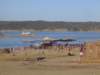 boomfestival200821_small.jpg